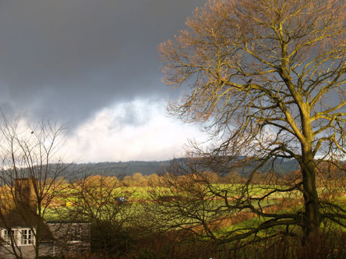 Weather breaking behind Horse Chestnut 